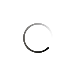 NO LOADING CIRCLE!