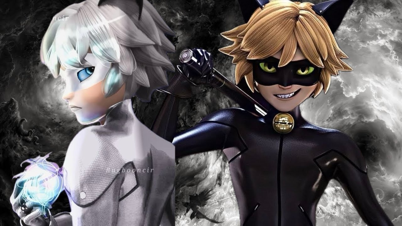 Cat Noir vs Cat Blanc